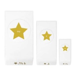 Layering Punches Star