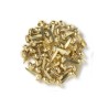 Brass Mini Brads